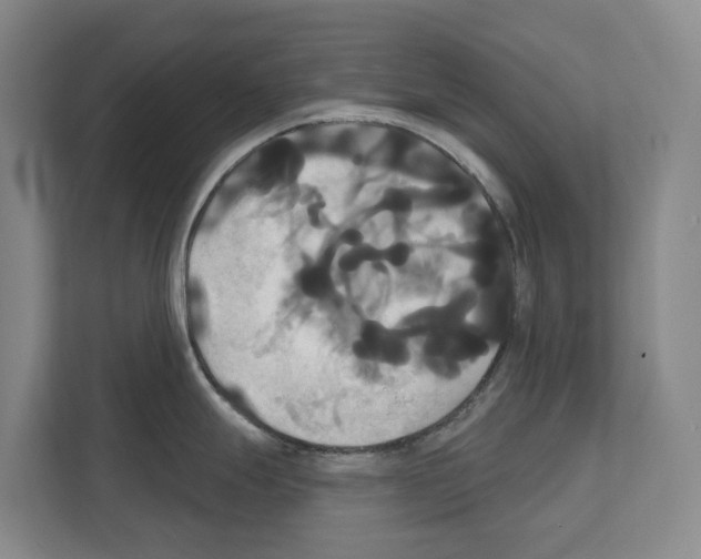 X0000111821247200909031444