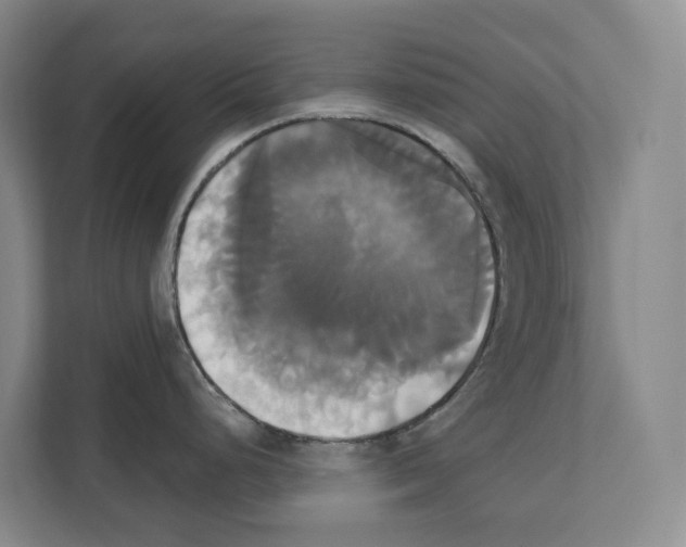 X0000111821248200909031444