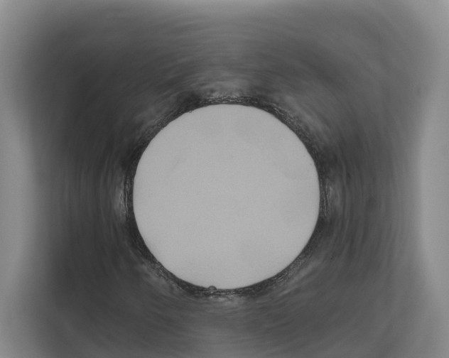 X0000111821250200909031443