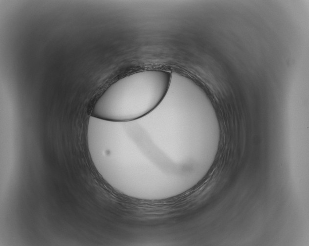 X0000111821252200909031443