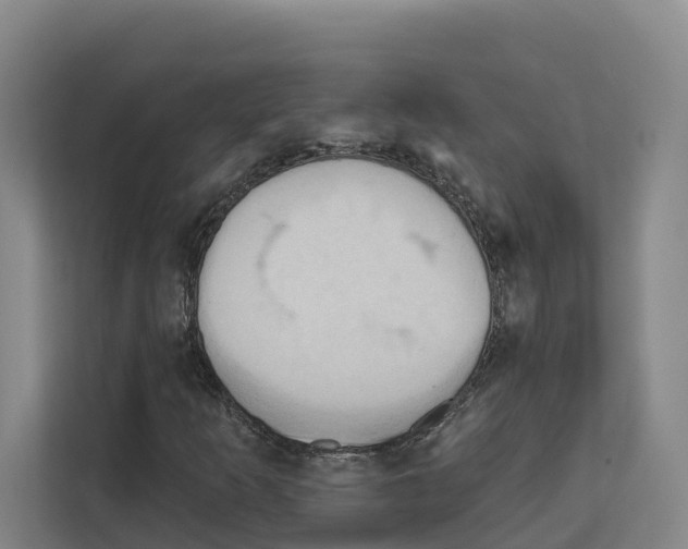 X0000111821253200909031443