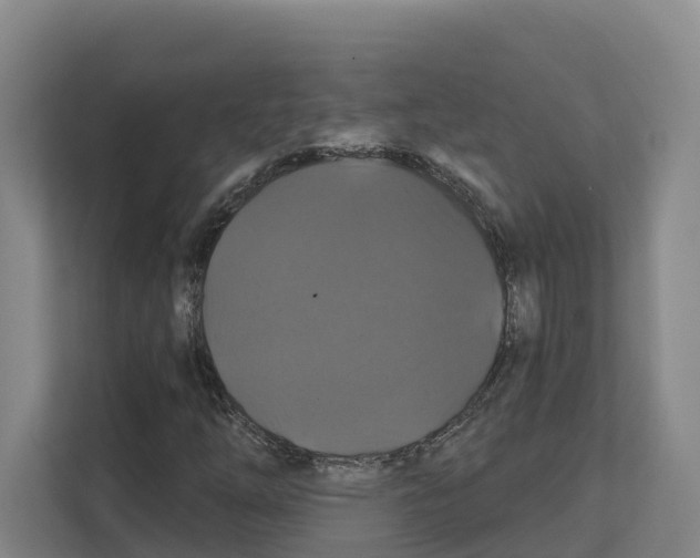 X0000111821254200909031443