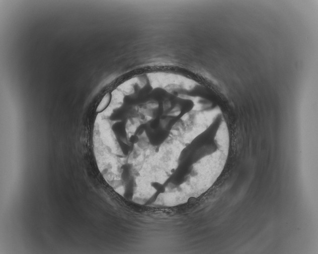 X0000111821255200909031443