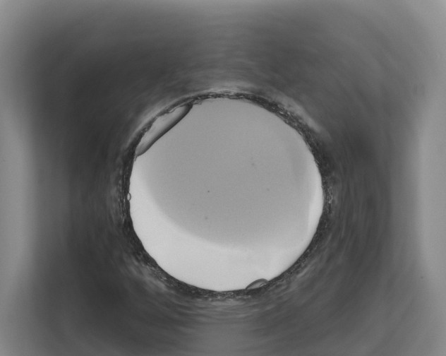 X0000111821256200909031443