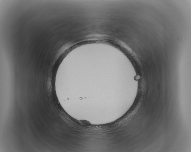 X0000111821259200909031443