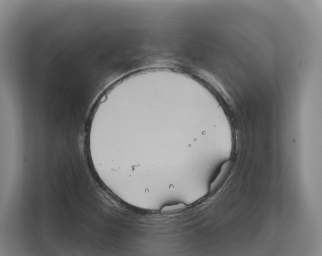 X0000111821260200909031443
