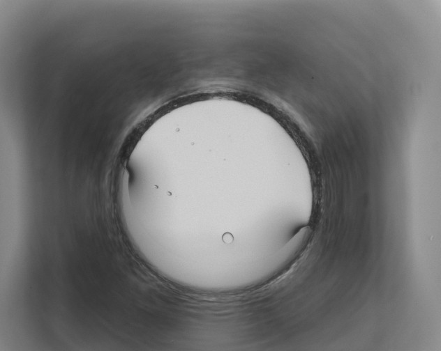 X0000111821261200909031443