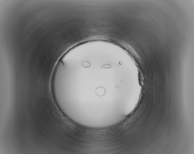 X0000111821268200909031443