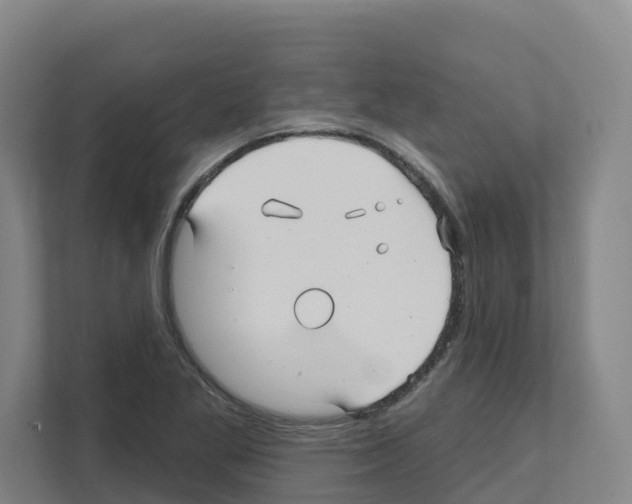 X0000111821269200909031443
