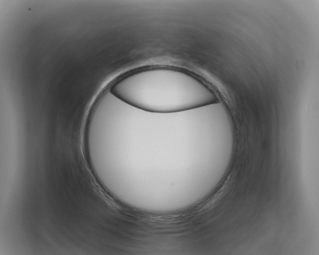 X0000111821272200909031443