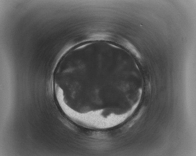 X0000111821275200909031443