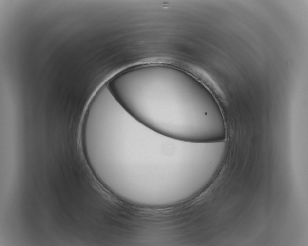 X0000111821276200909031443