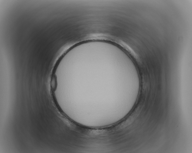 X0000111821277200909031443