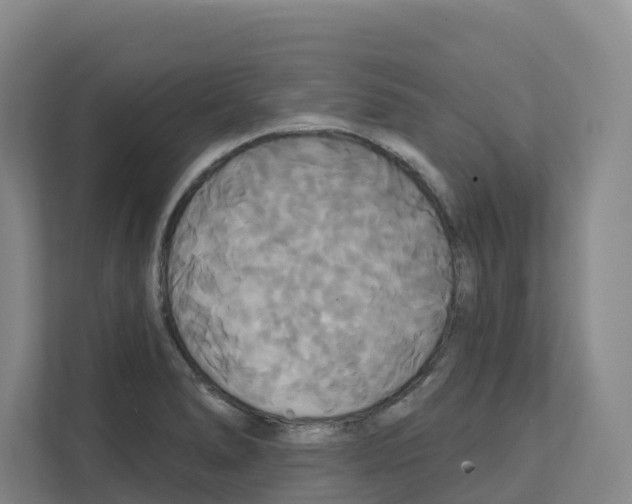 X0000111821278200909031443