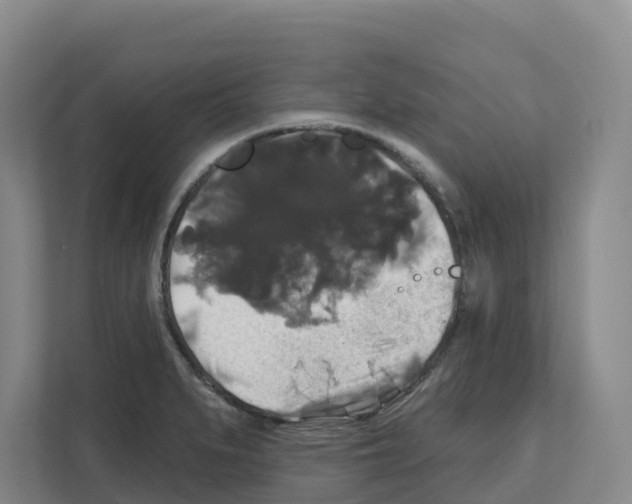 X0000111821279200909031443