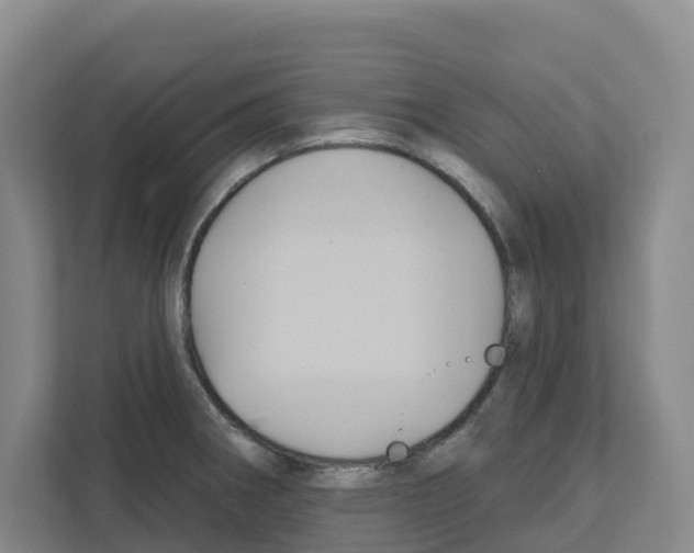 X0000111821282200909031443