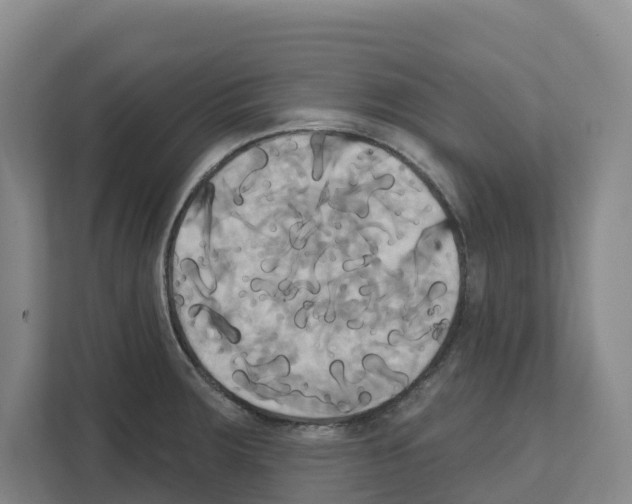 X0000111821283200909031443
