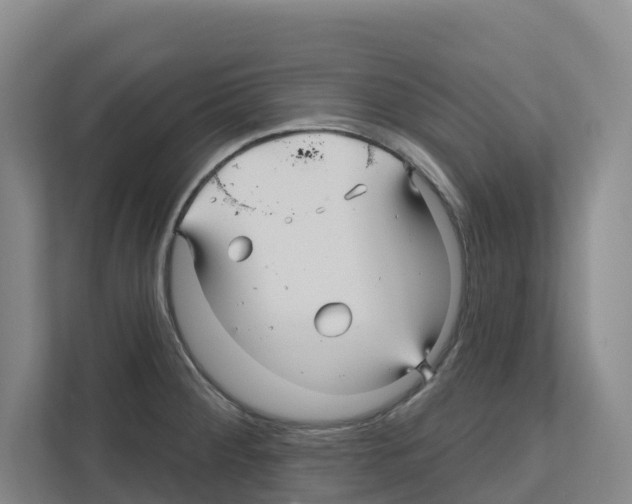 X0000111821284200909031443