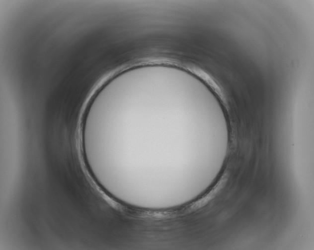 X0000111821286200909031443