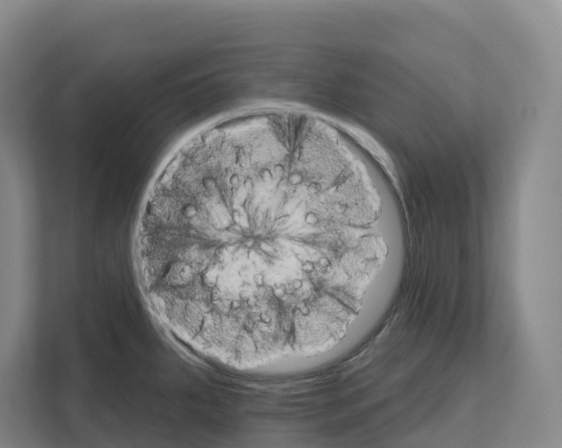X0000111821287200909031443