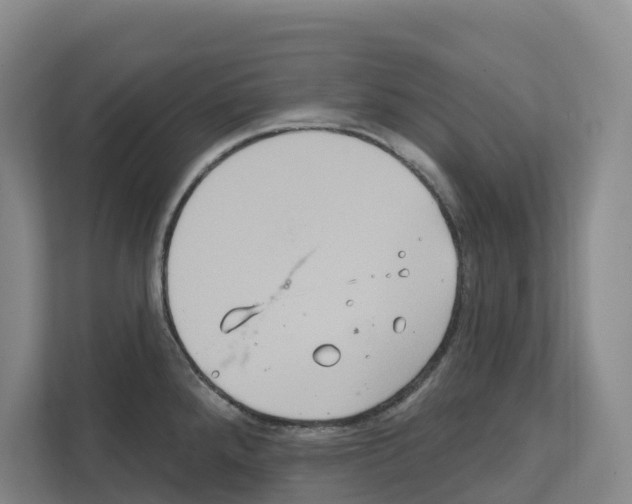 X0000111821288200909031443