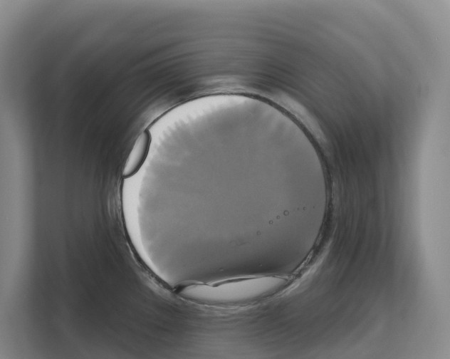 X0000111821289200909031443