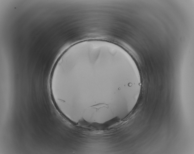 X0000111821291200909031443