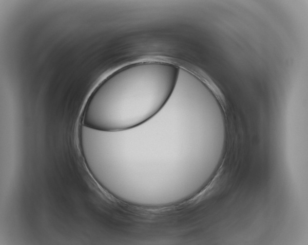 X0000111821292200909031443