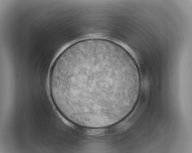 X0000111821294200909031443
