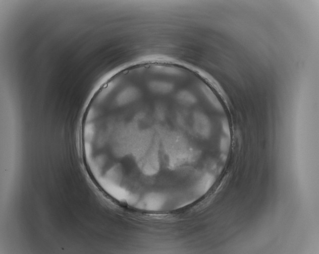 X0000111821295200909031443