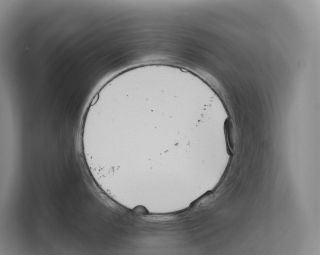 X0000111821296200909031443