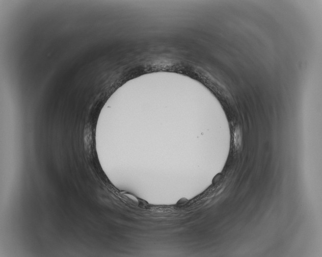 X0000111821299200909031442