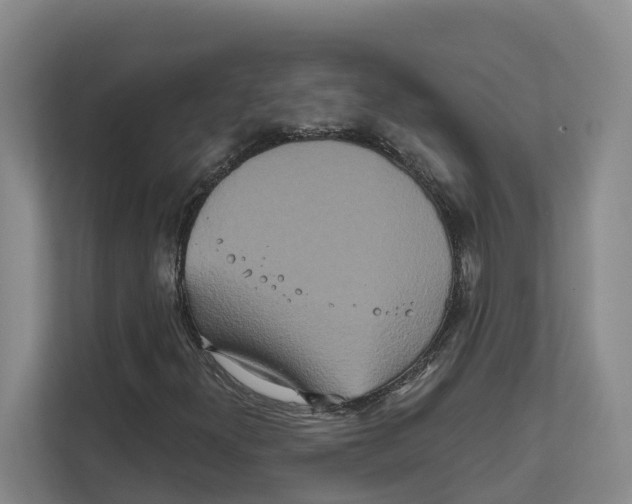 X0000111821300200909031442