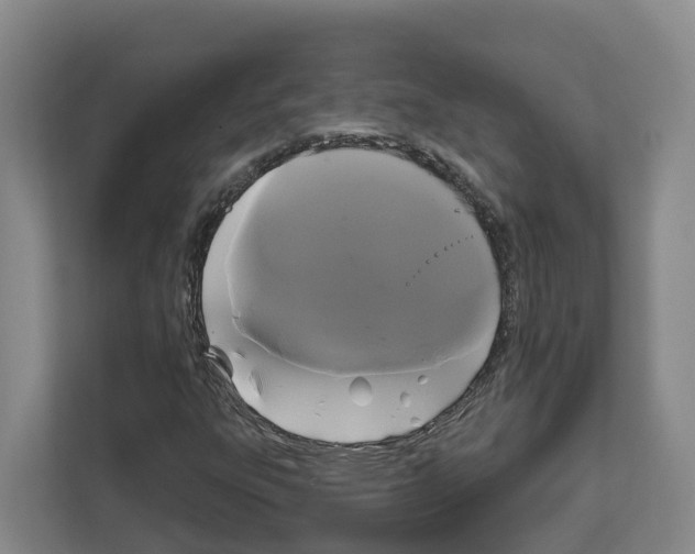 X0000111821303200909031442