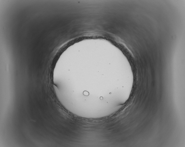 X0000111821304200909031442