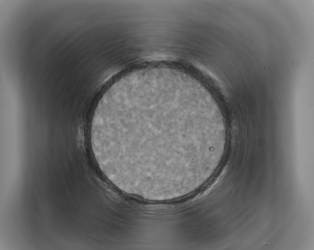 X0000111821305200909031442