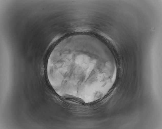 X0000111821306200909031442