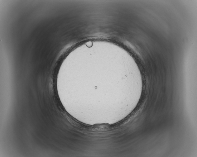X0000111821307200909031442