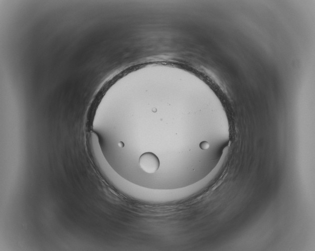X0000111821308200909031442