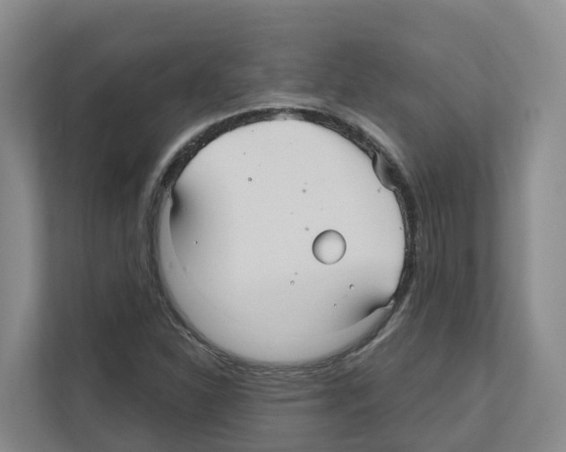 X0000111821310200909031442