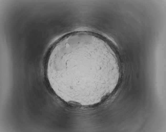 X0000111821311200909031442