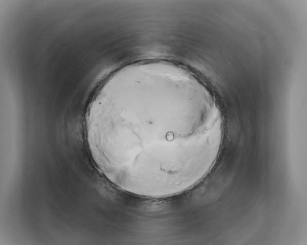 X0000111821314200909031442