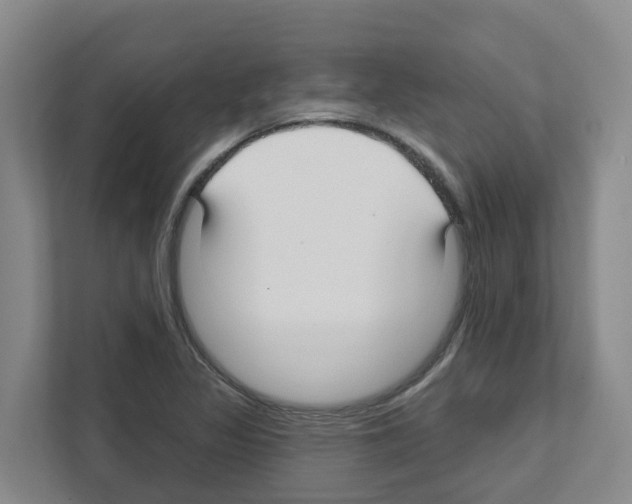 X0000111821317200909031442