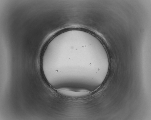 X0000111821319200909031442
