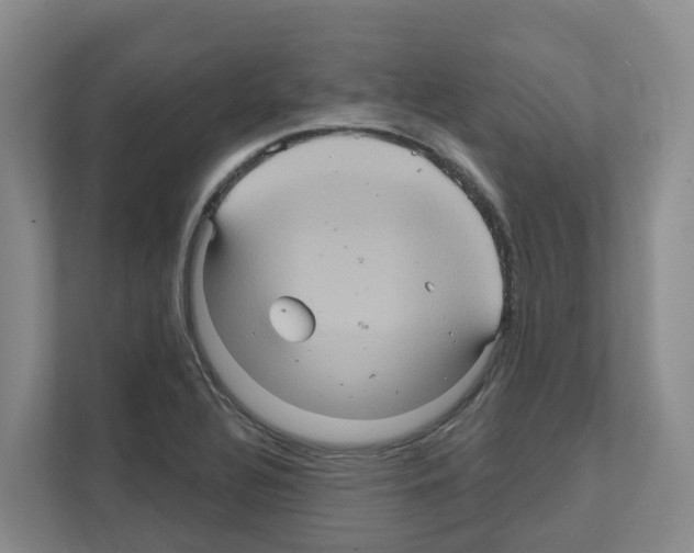 X0000111821320200909031442
