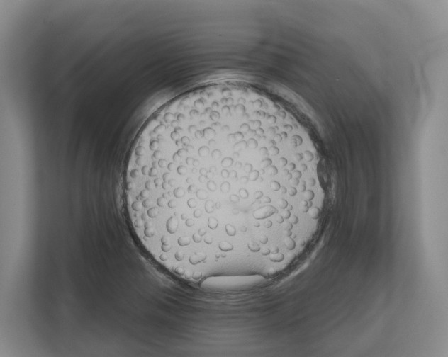 X0000111821321200909031442