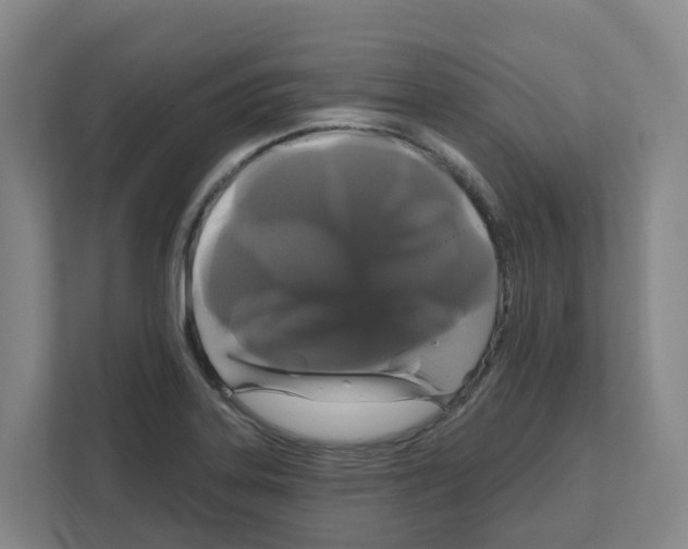 X0000111821323200909031442