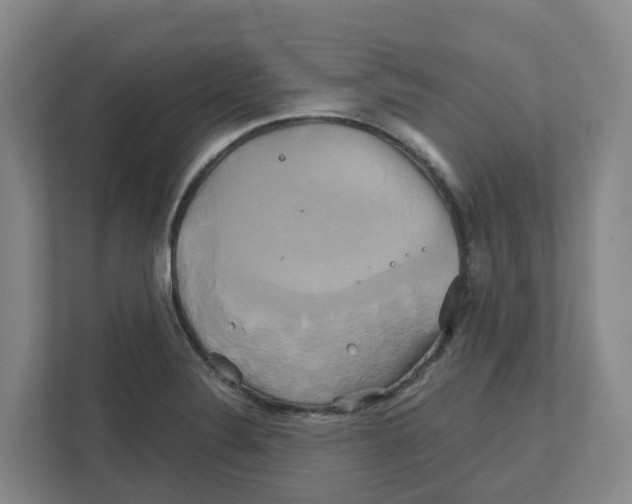 X0000111821324200909031443