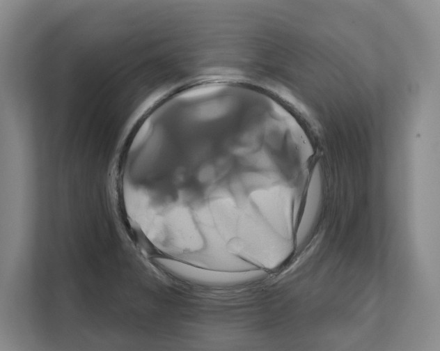 X0000111821325200909031443