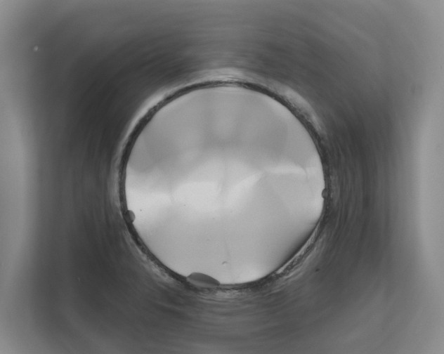 X0000111821326200909031443
